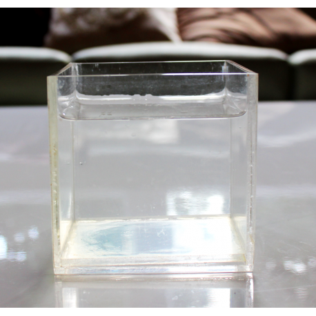 Dialeto II - Espaço virtual