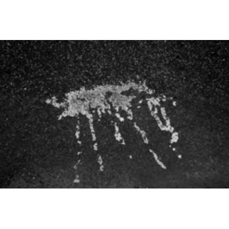 S/Título - Série Ocorrências