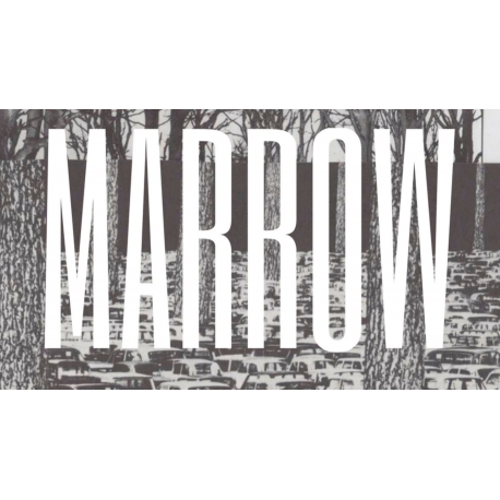 Marrow