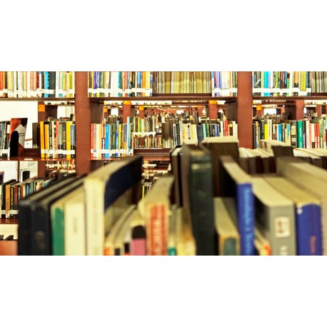 LIBRARY DIVE _ Biblioteca Mário de Andrade