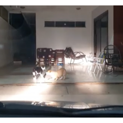 É importante ligar o rádio de vez em quando